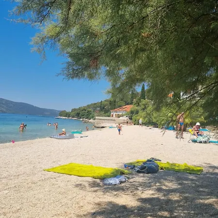 Mare *